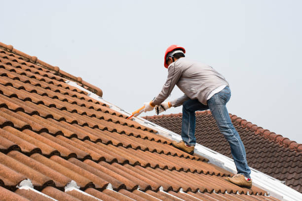 Best Emergency Roof Repair Services  in Lake City, MN