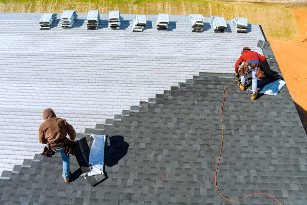 Best Metal Roofing Installation  in Lake City, MN