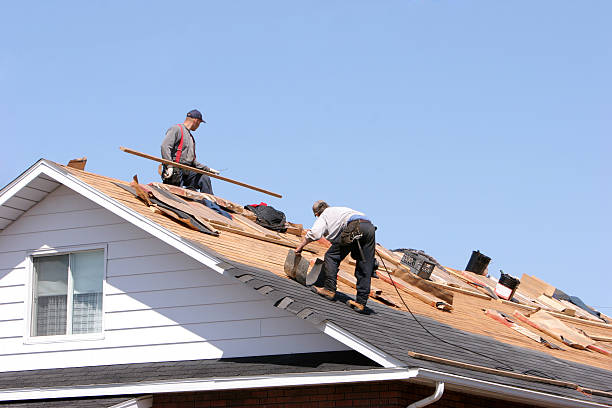 Best Storm Damage Roof Repair  in Lake City, MN