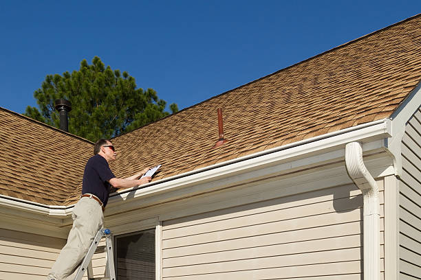 Best Roof Moss and Algae Removal  in Lake City, MN